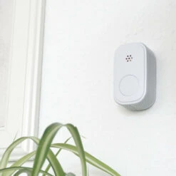 Billig 🤩 NEMAXX M10 Mini CO Melder Mit 10-Jahres-Batterie, Kohlenmonoxid Gasmelder, Alarm 85 DB - Gaswarner Der Neusten Technologie 75 Mm, Rauchmelder Nach DIN EN50291 ✨ -Nemaxx Verkäufe unnamed file 117