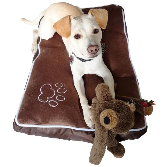 Auslauf 🥰 Nemaxx Hundekissen - Größe XL Hundebett Liegekissen Kissen Für Hundebox Transportbox Hundekäfig Transportkäfig Drahtkäfig Tierkäfig Käfig 😍 2 Auslauf 🥰 Nemaxx Hundekissen - Größe XL Hundebett Liegekissen Kissen Für Hundebox Transportbox Hundekäfig Transportkäfig Drahtkäfig Tierkäfig Käfig 😍 – Bild 2