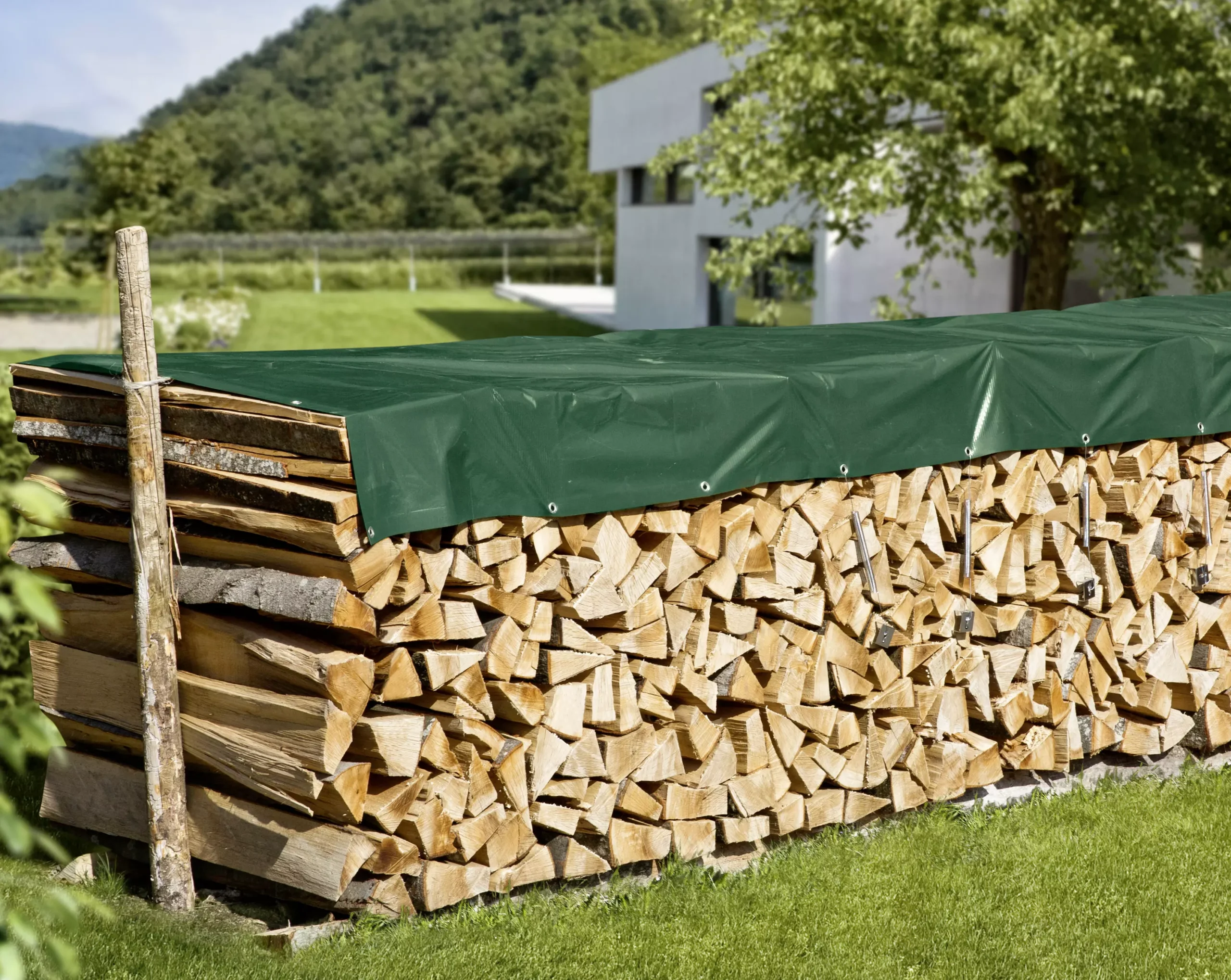 Nemaxx Verkäufe 11 Nemaxx Verkäufe -Nemaxx Verkäufe tai xuong scaled